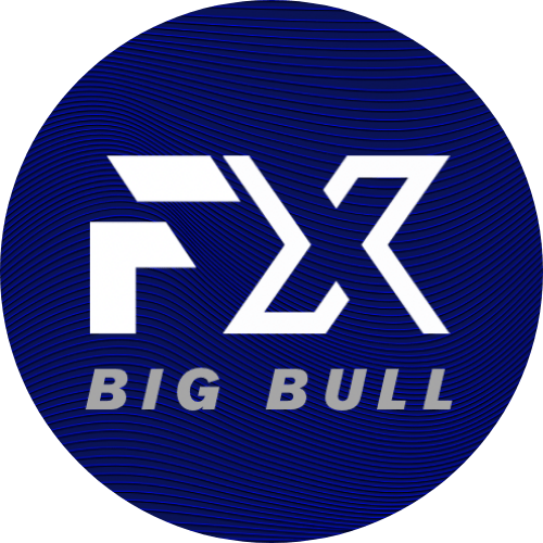 BIG BULL FX Logo